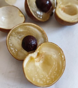 Chou du Vietnam Longan roi de Longan variété fraîche douce épaisse chair qualité d'exportation - Product Image 5