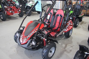 สินค้าใหม่ล่าสุดลดราคาไม่แพงสำหรับ trailmaster Blazer200R รถโกคาร์ทสำหรับเด็กและเยาวชนอายุ10ปีขึ้นไปรอบมอเตอร์ - Product Image 2