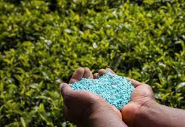 NPK 15-5-20 + 2MgO + TE Engrais composé à libération rapide de couleur pourpre pour application végétale - Product Image 6