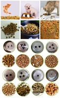 Máquina Automática para la Fabricación de Alimentos para Mascotas, Línea de Producción de Croquetas para Gatos, Maquinaria para el Procesamiento de Alimentos Secos para Perros