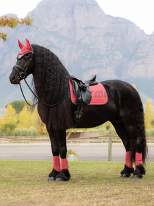 เบาะอานม้าแบบอังกฤษผ้าบุด้านในนุ่มทนทานผ้าฝ้ายผสมระบายอากาศได้ดีดีไซน์แบบกำหนดเองได้ - Product Image 3