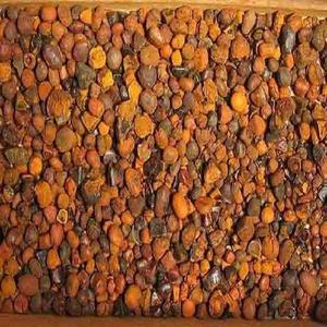 Vaca Buey Gallstone Fuente Ganado en Venta - Product Image 2