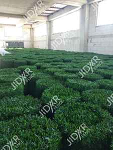 Paneles de Valla de Césped Artificial Hechos en Turquía por Fabricante para Muros Exteriores e Interiores y Usos de Privacidad con Protección UV - Product Image 4