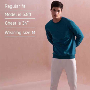 Sudadera sólida de fácil ajuste para hombre, sudadera informal urbana, jersey de corte recto cálido con cuello redondo, sudadera transpirable para hombre OEM - Product Image 4