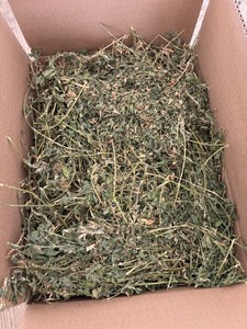 หญ้าอัลฟัลฟ่าเกรดพรีเมียมคุณภาพสูง โปรตีนสูง (ความชื้น 14%) สำหรับอาหารสัตว์ - ผลิตในสหรัฐอเมริกา พร้อมจัดส่ง - Product Image 6