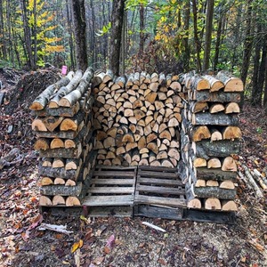 Bûches de bois de chauffage de hêtre et de chêne/pin de haute qualité séchées au prix d'usine - Product Image 5
