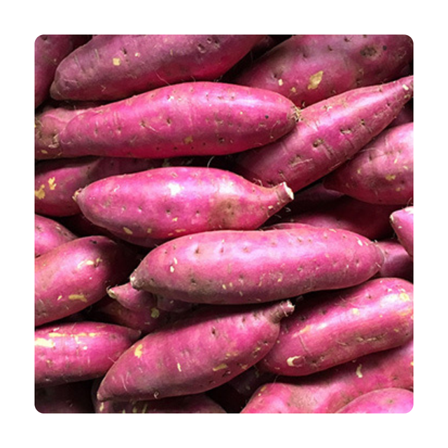 Its mildly sweet taste pairs well with spices, butter, honey, and other flavorful ingredients naturally sweet potato