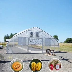 Fabricante de Invernaderos Tipo Túnel de Alta Calidad con Diseño de Fácil Montaje y Acero Galvanizado de Alta Resistencia para Agricultura Comercial - Product Image 4