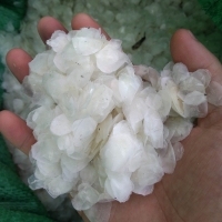 เกล็ดปลาแห้งส่งออกจากเวียดนาม - Product Image 5