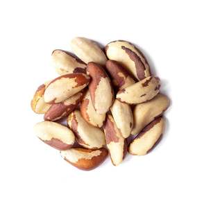 Grossiste exportateur de noix du Brésil naturelles pures de haute qualité - Product Image 1