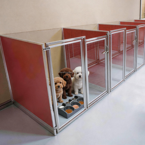 Bebederos Grandes de Acero Inoxidable para Perros, Tazones de Alimentación para Mascotas de Acero de Buena Calidad - Product Image 6