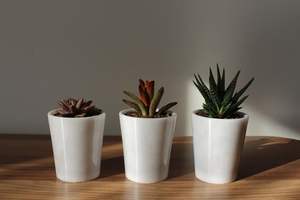 Nouveauté : Jardinière moderne en marbre pour plantes décoratives, ajoutant une touche de luxe en pierre à l'espace intérieur - Product Image 5