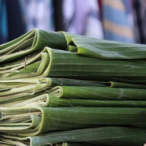 Wholesale Price <strong>Banana</strong> Leaf for Export | Big Size <strong>Banana</strong> Leaf From Vietnam - Product Image 2