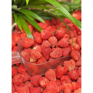 Fraises lyophilisées Lotus bleu Offre Spéciale 2025 fraises lyophilisées croquantes emballées avec une saveur de baies fraîches - Product Image 3