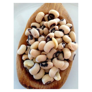 Premium New Crop White Cowpea Vigna Beans Organic Black Eye Cowpea Vigna Beans Fabricante de fábrica - Product Image 5