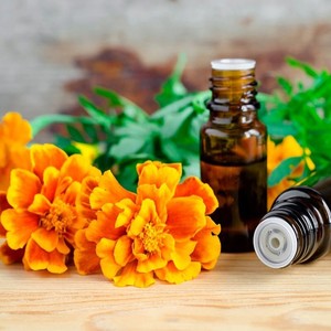 Bulk Tagetes Essential Oil (Marigold Flower Oil) for Perfumery, <b>Insect</b> <b>Repellent</b>, Aromatherapy & Skin OEM Wholesale Supplier - Product Image 1