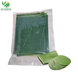 VIET THIEN PHU Hojas de Plátano Verde Frescas Congeladas al por Mayor a Precio Económico - Product Image 1