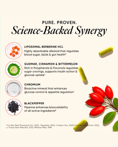 Berberine HCL+ avec cannelle de Ceylan et chrome pour le soutien du glucose, le bien-être intestinal, formule à libération prolongée - Product Image 3