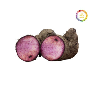 Clean and Ready IQF Frozen Yam from Vietnam Ideal for <b>Food</b> Service, Bulk Export, and Nutritious Retail Product Distribution - Product Image 3