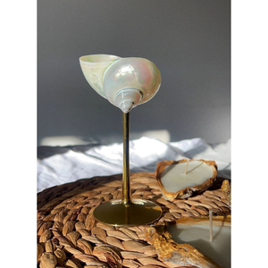 เครื่องแก้วเปลือกหอยที่สวยงาม: ไวน์และแก้วแชมเปญที่สวยงามสำหรับงานเลี้ยงสุดหรู - Product Image 1