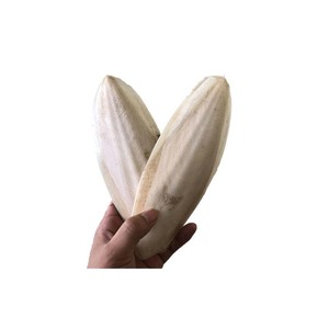 กระดูกปลาหมึกคุณภาพสำหรับนกคีรีบูน - Product Image 4