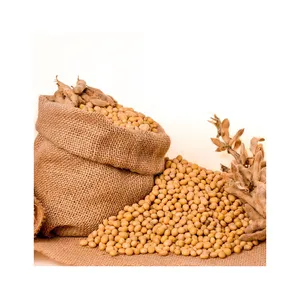 GMO ולא GMO Soyabean/סויה למכירה סויה סויה Soja שעועית נפוץ באיכות גבוהה