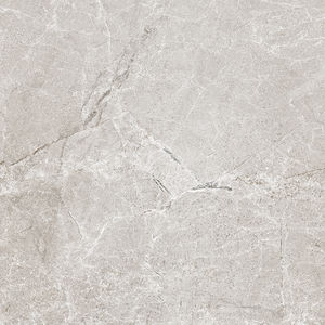 ซัพพลายเออร์อินเดียกระเบื้องเซรามิกเอเชียที่ถูกที่สุดการผลิตกระเบื้องยกสูงในอินเดียสําหรับ Gaurage - Product Image 3