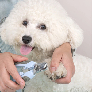 FLAMIA JABZ Ciseaux à ongles professionnels en acier inoxydable pour animaux de compagnie Coupe-ongles écologiques pour gagner du temps - Product Image 5