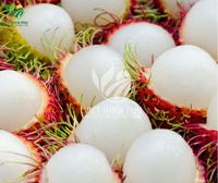 2025 Groothandel Iqf Biologische Rambutan Vers Zoet Geconserveerd Hoge Kwaliteit Water Vietnam Tuinen Bulk Vacuüm Verpakt Bevroren Fruit
