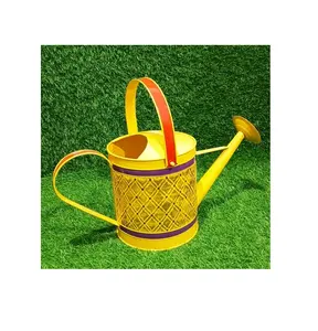 Popular design most selling Metal watering can Flower Water Plants Watering Pot Manufacture wholesale price
