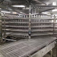 Elevatore a Spirale Verticale Personalizzabile, Trasportatore Automatico a Spirale per l'Industria Alimentare e delle Bevande, Raffreddamento e Congelamento