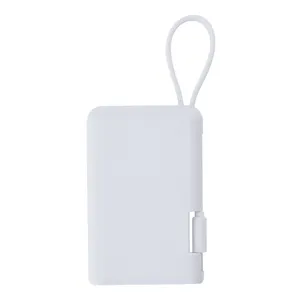แบตสำรองแบรนด์ดิน 2000mAh แบบสั่งทำพิเศษ ของขวัญส่งเสริมการขาย - Product Image 1