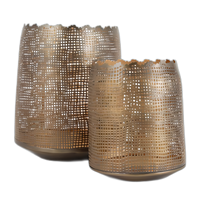 Set van 2 moderne stalen gaasdesign bloempotten gouden luxe binnendecoratie huis kantoor hotel uniek design Europa bestseller