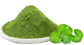 ผงเซนเทลล่าระดับพรีเมี่ยม | 100% ผง Gotu Kola ธรรมชาติสำหรับใช้ในอาหารเครื่องดื่มและบำรุงผิว - Product Image 2