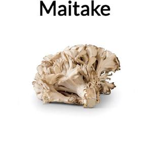Extracto De Seta Maitake líquido al por mayor de La India Tambor y tarro de albañil Embalaje disponible | Exportador indio - Product Image 2