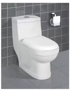 Vente chaude 1 pièces toilette éthiopie populaire Golden Dragon Water Closet S-trap siège de toilette monobloc pour Ehiopia - Product Image 6