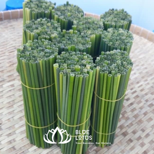 หลอดหญ้าสีเขียวจากเวียดนามย่อยสลายได้เป็นมิตรต่อสิ่งแวดล้อมแท่งอุปกรณ์เสริมสำหรับดื่มไม้ไผ่ + 84 961 06 6080 MS Heidi - Product Image 2
