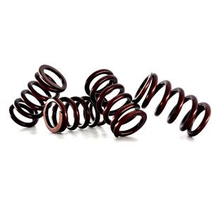 Ressort de soupape en acier inoxydable résistant à la chaleur pour moteur de moto KAO Cygnus - Product Image 2