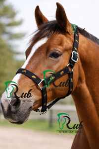 Licol de cheval en nylon durable, design brodé, têtière rembourrée réglable, entraînement, sécurité équestre haut de gamme, selle anglaise - Product Image 3