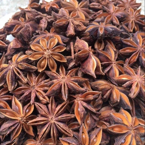 Nouvelle récolte de qualité supérieure automne anis étoilé Vietnam grande fleur herbes séchées de haute qualité épices simples herbes prêtes à expédier - Product Image 1