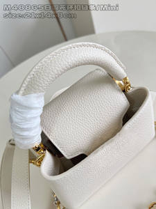 Bolso de Mano con Estampado de Lagarto Nuevo 2025 con Hebilla Clásica Chapada en Oro - Bolso de Mano de Alta Gama para Mujer para Uso Profesional y Nocturno - Product Image 5