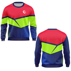 2025 sudadera de gran tamaño con estampado francés Terry para hombre, ropa de calle con cuello redondo y logotipo bordado, suéter de moda de algodón - Product Image 4