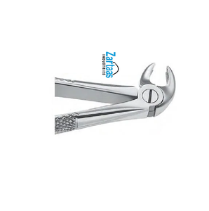 Pince d'extraction en acier inoxydable de haute qualité pour les molaires inférieures des enfants fig. 22S exportateurs et fabricant - Product Image 5