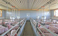 RG_Stable Design Porcherie Structure en acier préfabriquée pour élevage de bovins laitiers et de porcs, bâtiment agricole