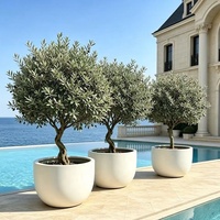 Vente en gros de pots de fleurs en fibre de verre simples et modernes pour l'extérieur et l'intérieur, légers, durables et brillants, pour le jardin et les centres commerciaux