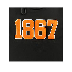 Sudaderas con Capucha de Moda para Hombre, 100% Algodón, Secado Rápido, Ecológicas, con Logotipo Personalizado, de Alta Calidad Profesional - Product Image 6