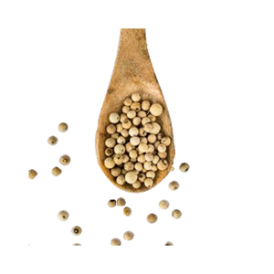 Pimienta blanca natural al por mayor granos de pimienta blanca enteros y secos para cocinar especias, condimentos e industria alimentaria - Product Image 3