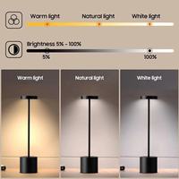 Lampe d'ambiance moderne et créative en métal, sans fil, à piles, à intensité variable par toucher, pour l'extérieur, restaurant ou chevet