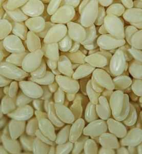 Semilla de sésamo Semilla blanca Venta al por mayor Calidad al mejor precio para la exportación - Product Image 5