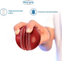 Ballons d'entraînement de test et de match professionnels personnalisés de haute qualité balle de frappe de cricket en cuir véritable Hardcore